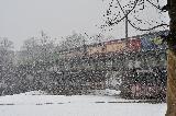 2009-02-24_11-42-42_997.jpg