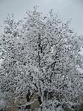 2006-03-05_12-21-11.jpg