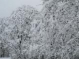 2006-03-05_12-22-23.jpg